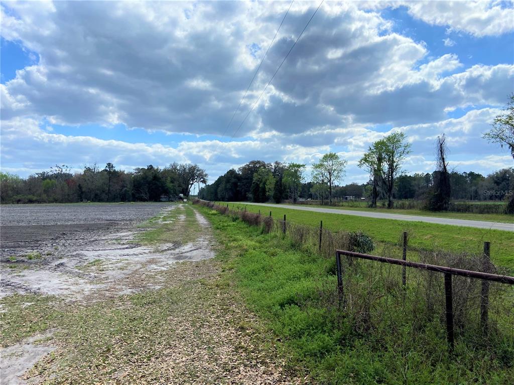 Alachua, Florida 32615, 0 , 0 ,0,Land,For Sale,COUNTY ROAD 239,0,GC502818