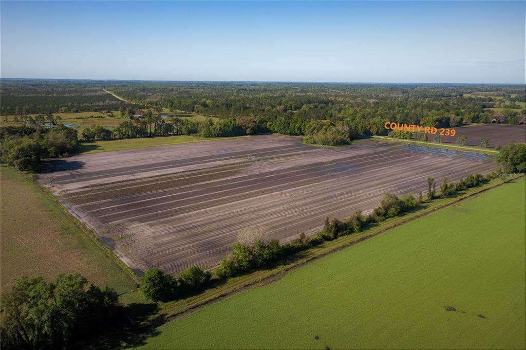 Alachua, Florida 32615, 0 , 0 ,0,Land,For Sale,COUNTY ROAD 239,0,GC502818