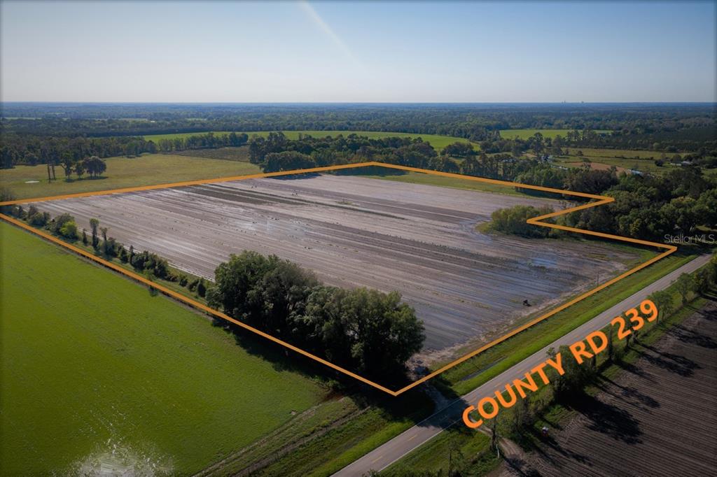 Alachua, Florida 32615, 0 , 0 ,0,Land,For Sale,COUNTY ROAD 239,0,GC502818