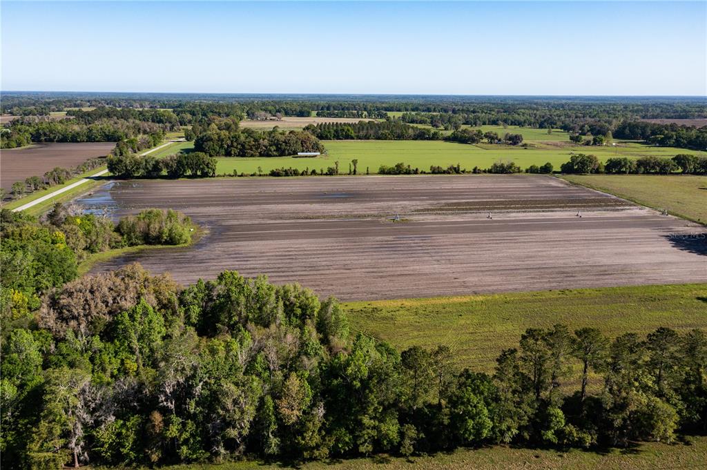 Alachua, Florida 32615, 0 , 0 ,0,Land,For Sale,COUNTY ROAD 239,0,GC502818