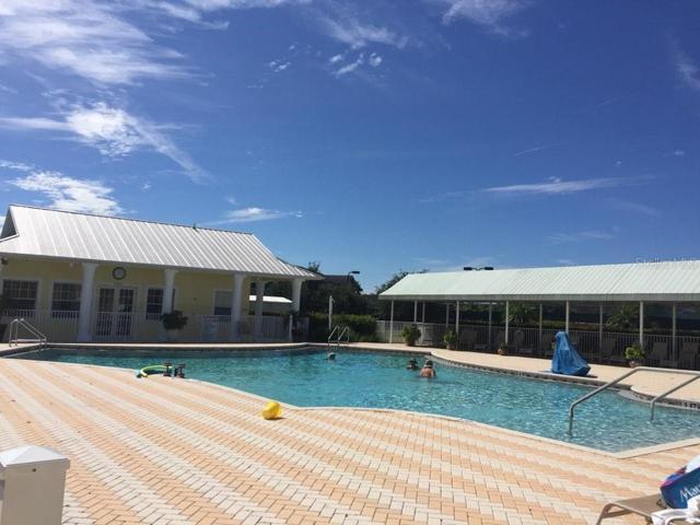 COMMUNITY POOL VIEW 1