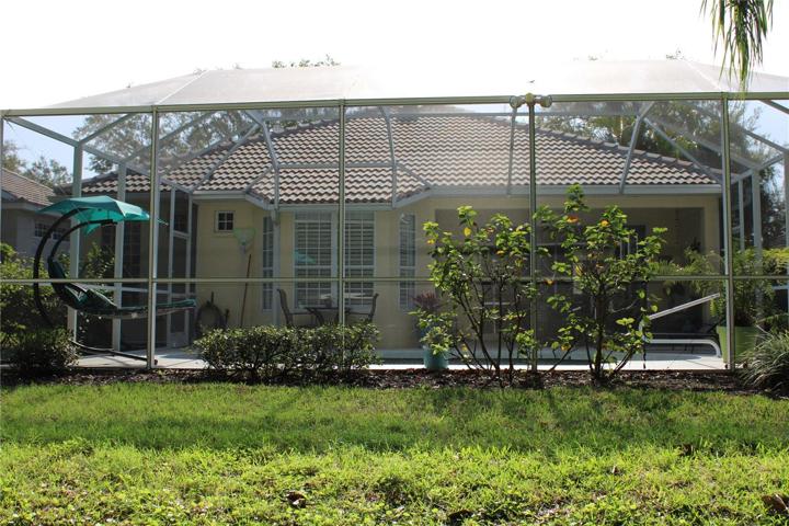 Rear view