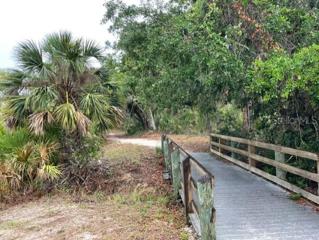 Ollie's Pond hiking and biking trails.