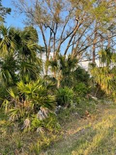 Peaceful and beautiful landscape to surround your home.