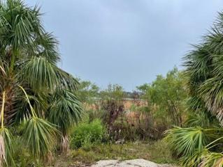A short walk or bike ride to Ollie's Pond Park offers neighborhood hiking trails around a beautiful pond with bird nesting areas, peaceful and private. 