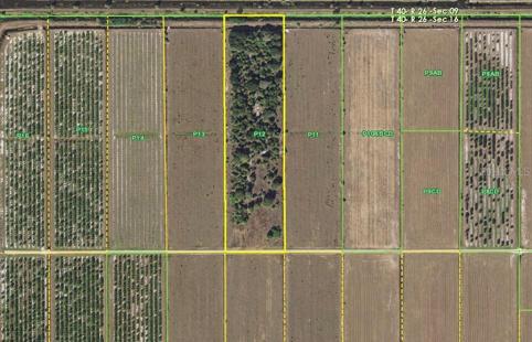 Aerial of the oak clad acreage.