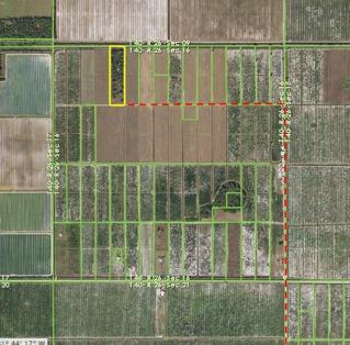 Paved road all the way to the property from SR31 and then by Neal Road east to the first stop sign then left to the last left turn then west to the 10 acres.