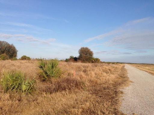 View down Graham Road from property on roadfront.
