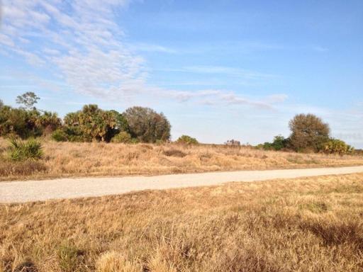 View of property road front.