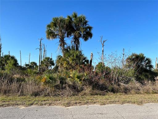 Boskoop Rd