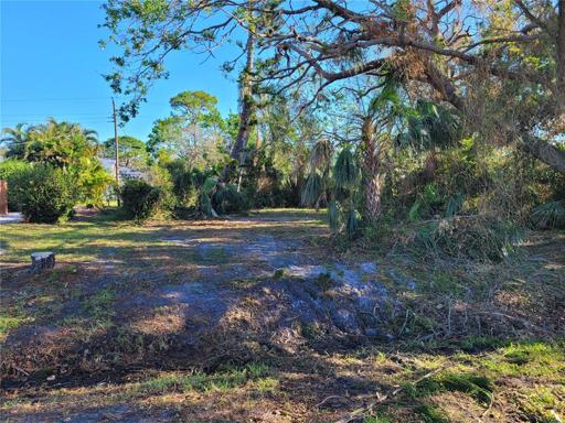 Mostly Cleared Lot