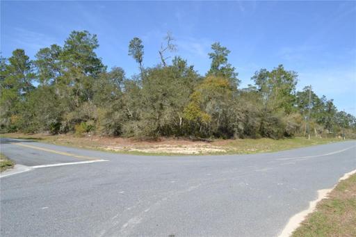 Full view of lot