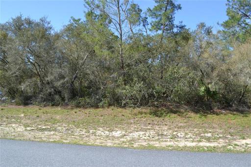 Lot view North