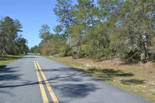 Street view 168th loop facing southwest