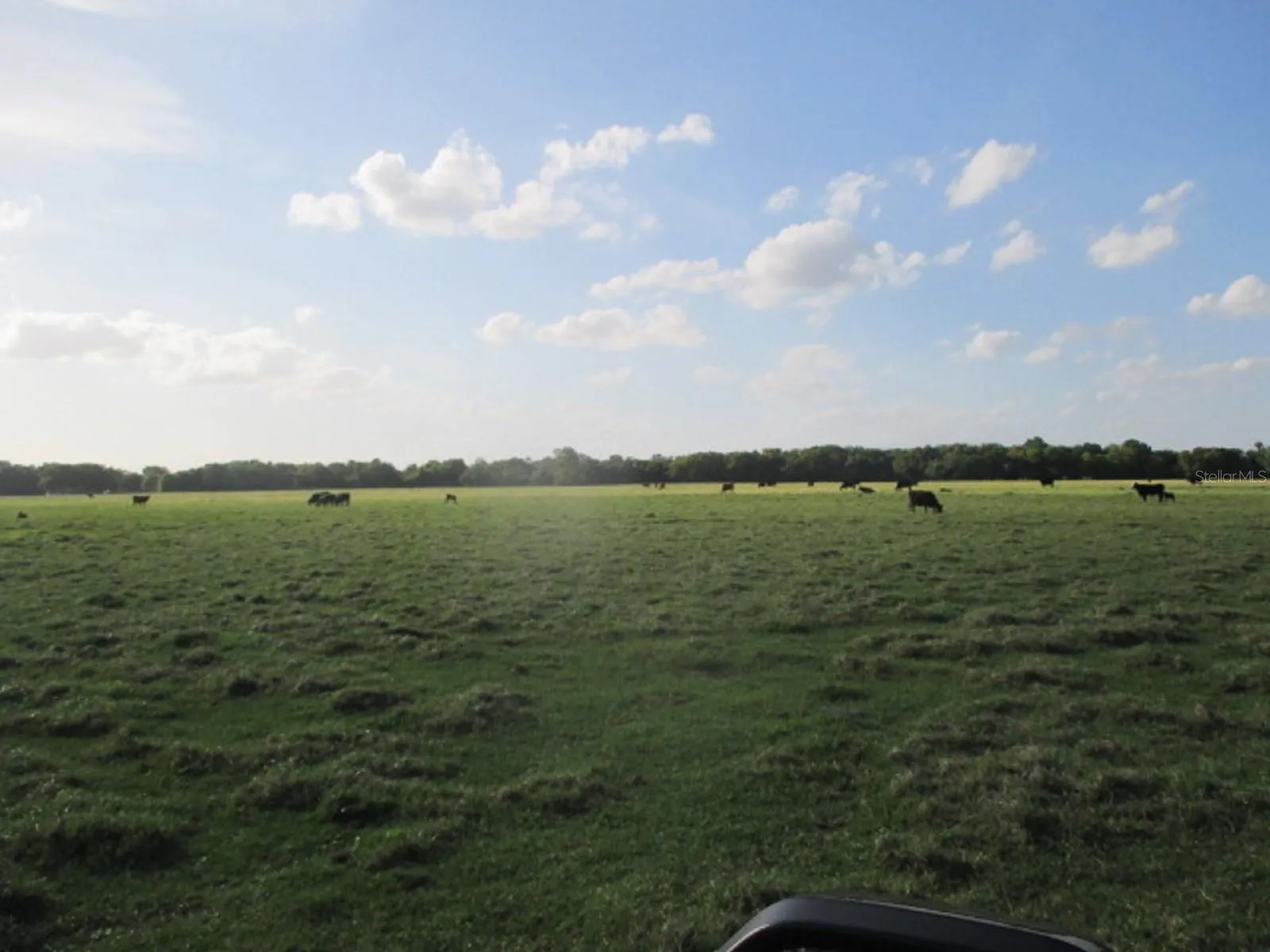 Okeechobee, Florida 34972, 0 , 0 ,0,Land,For Sale,168TH,0,OK221173