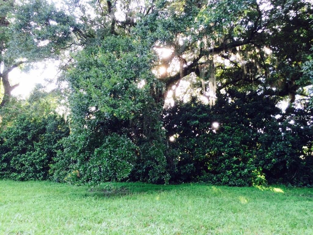 Interlachen, Florida 32148, 0 , 0 ,0,Land,For Sale,FREDERICK STREET,0,G5053489