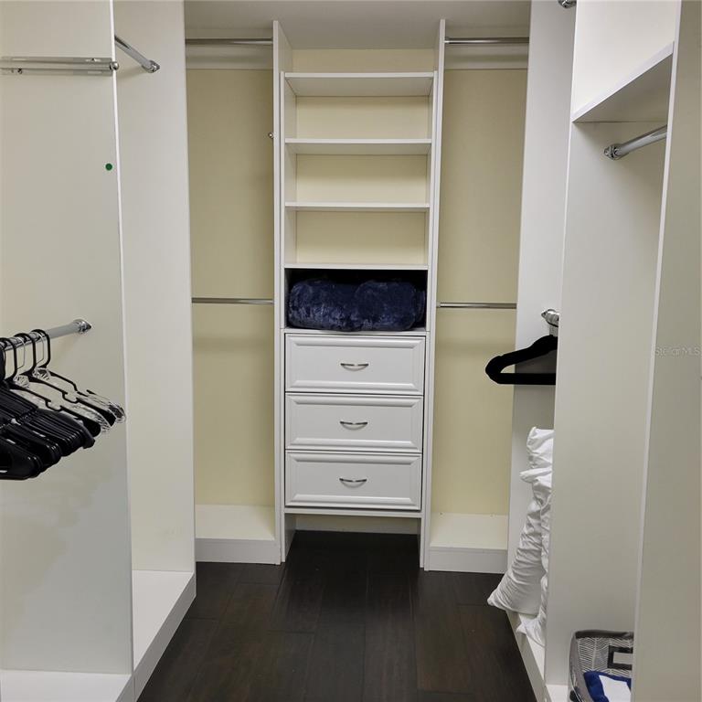 master closet 1