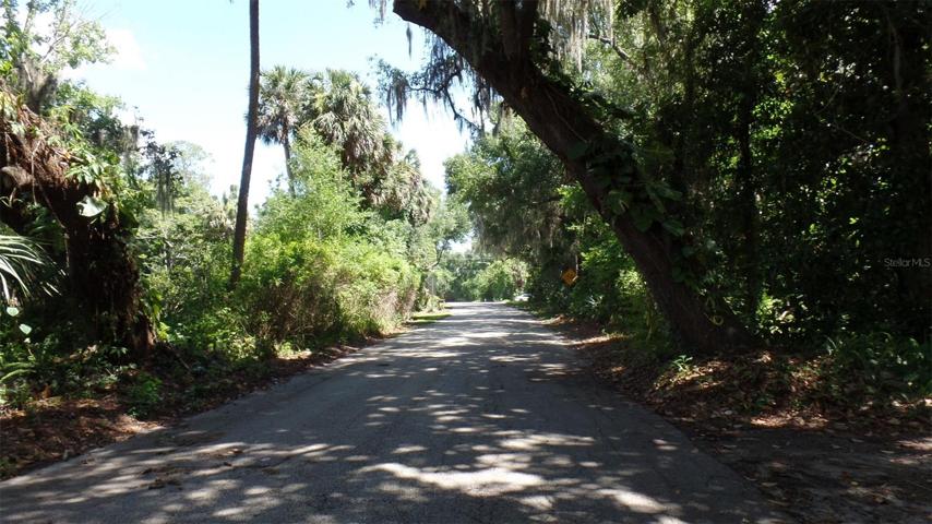 Maple Ave is a charming street