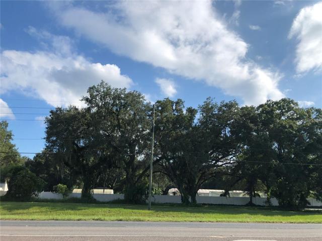 View from S Orange Blossom Trail