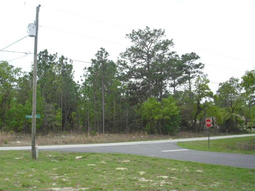 Intersection Dyke Way & Primrose Dr