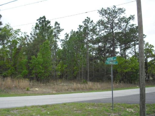 Intersection Dyke Way & Primrose Dr.