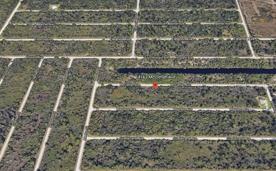 Plenty of privacy and yet close to El Jobean, Englewood, beaches of Boca Grande, Englewood, and Manasota Key. Walmart and Publix, CVS, shopping, dining, entertainment just a short drive away.
