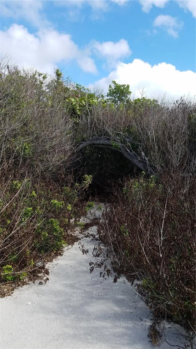 Bokeelia, Florida 33922, 0 , 0 ,0,Land,For Sale,ACCESS UNDETERMINED,0,C7458551
