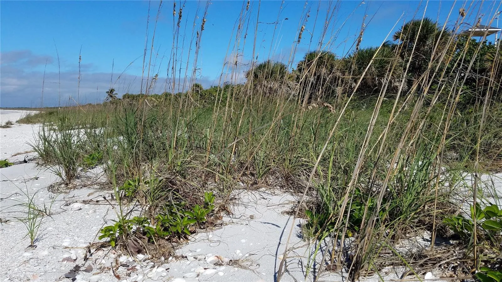 Bokeelia, Florida 33922, 0 , 0 ,0,Land,For Sale,ACCESS UNDETERMINED,0,C7458551