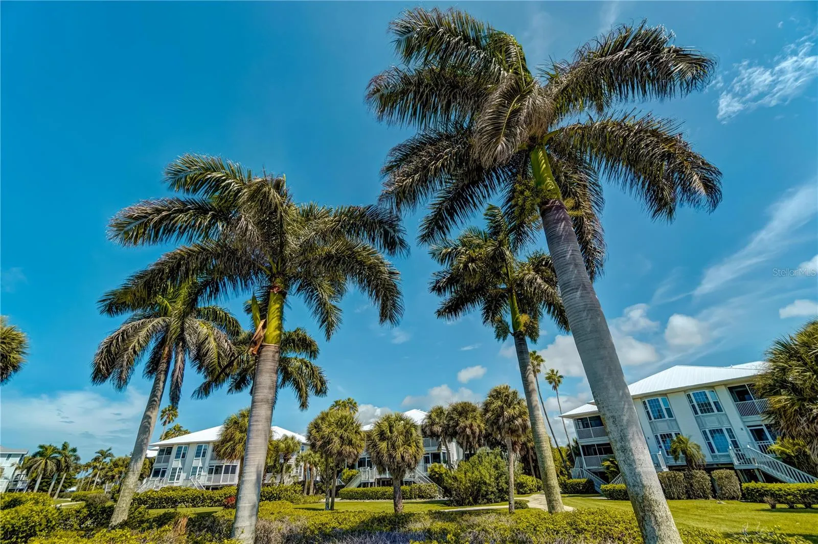 Placida, Florida 33946, 0 , 0 ,0,Land,For Sale,PALM ISLAND,0,D6124819