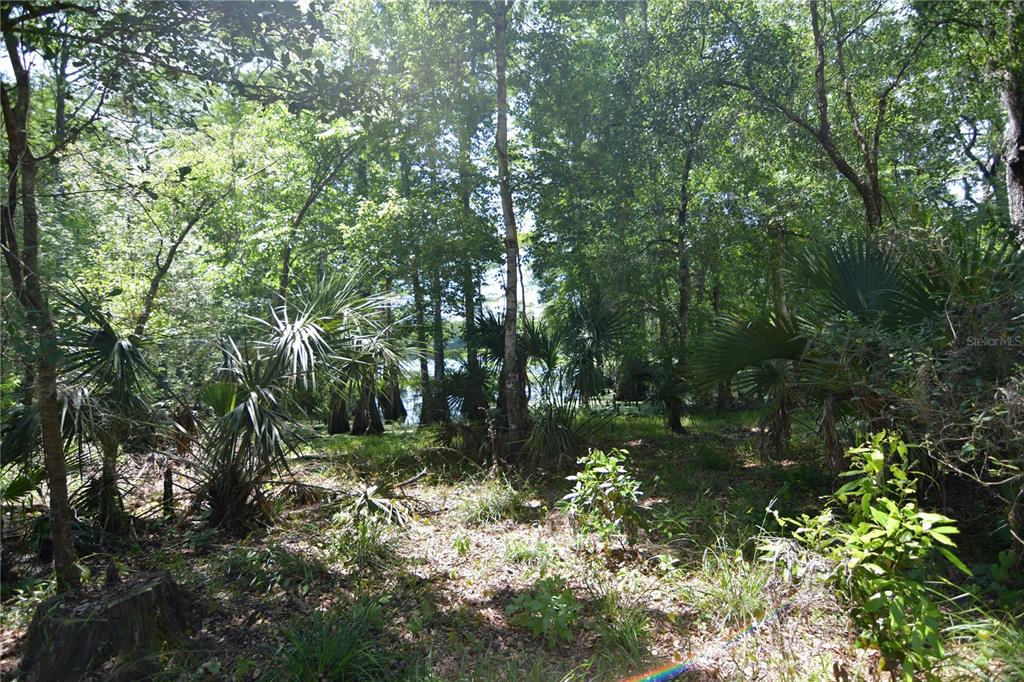 Bushnell, Florida 33513, 0 , 0 ,0,Land,For Sale,64TH,0,G5054183