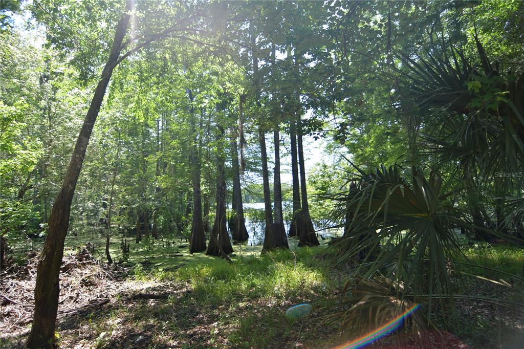 Bushnell, Florida 33513, 0 , 0 ,0,Land,For Sale,64TH,0,G5054183