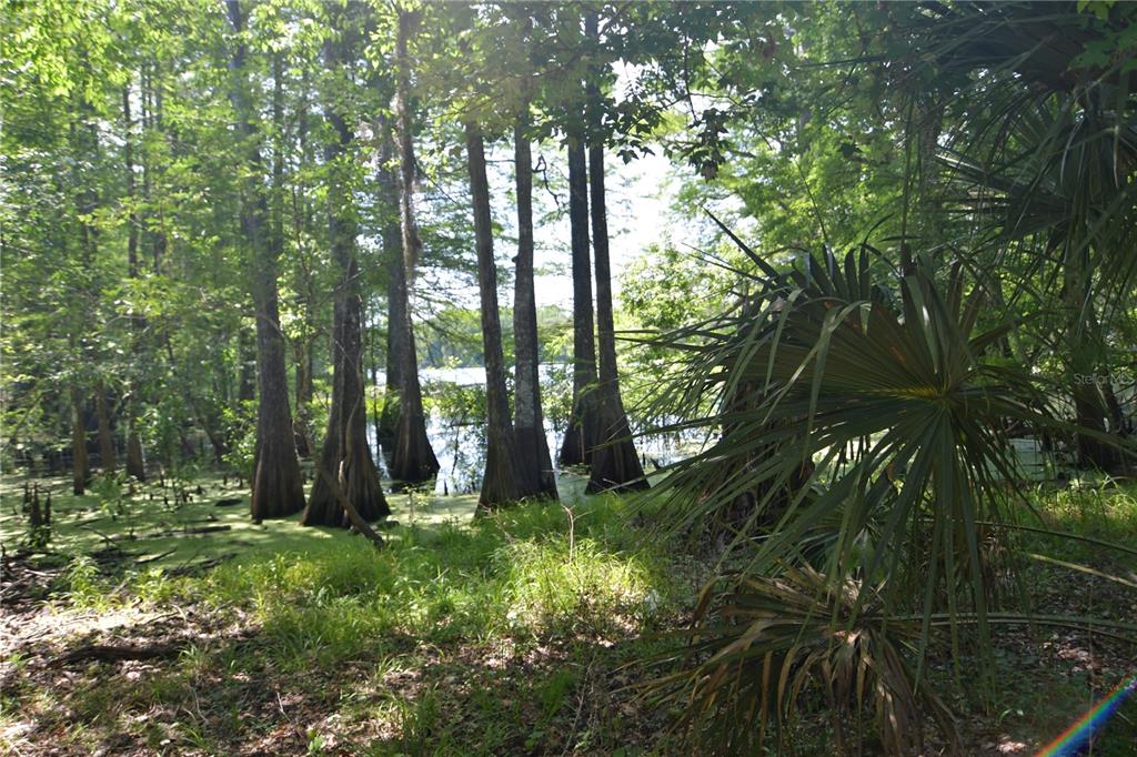 Bushnell, Florida 33513, 0 , 0 ,0,Land,For Sale,64TH,0,G5054183