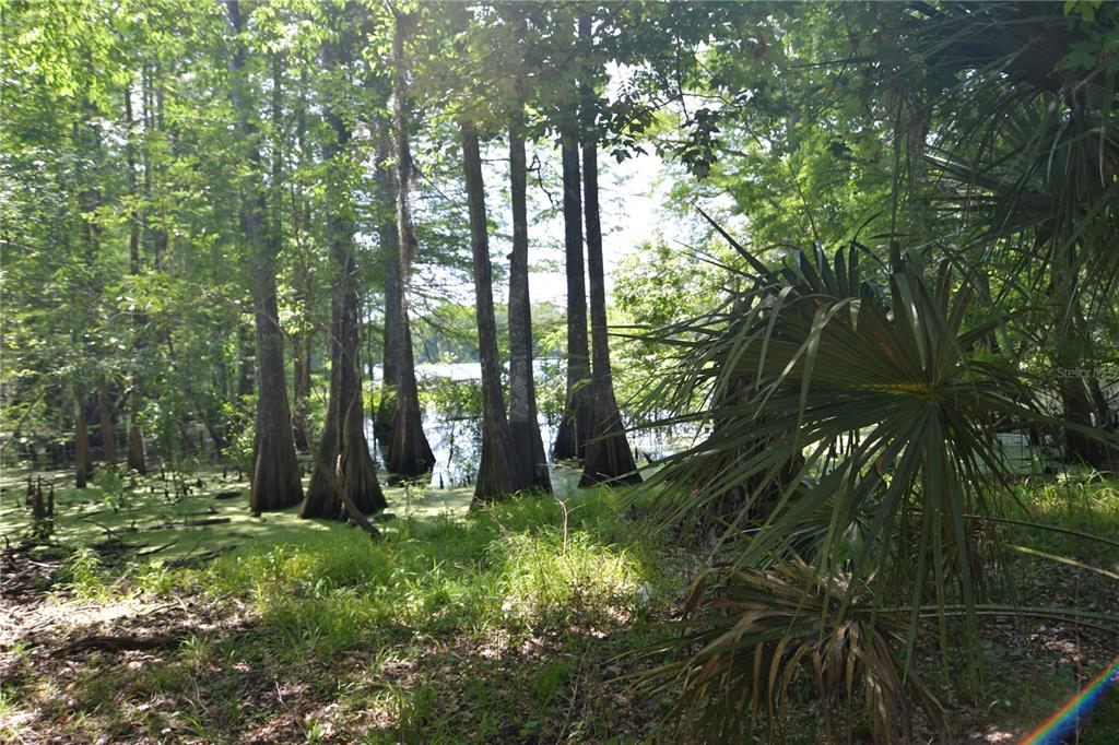 Bushnell, Florida 33513, 0 , 0 ,0,Land,For Sale,64TH,0,G5054183