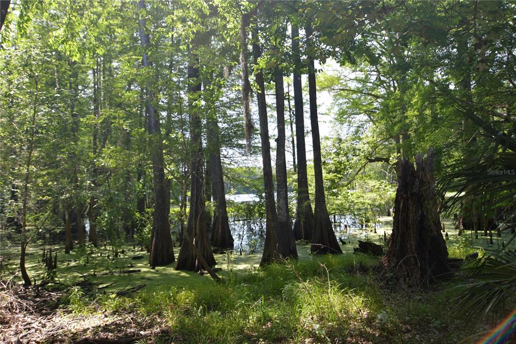 Bushnell, Florida 33513, 0 , 0 ,0,Land,For Sale,64TH,0,G5054183