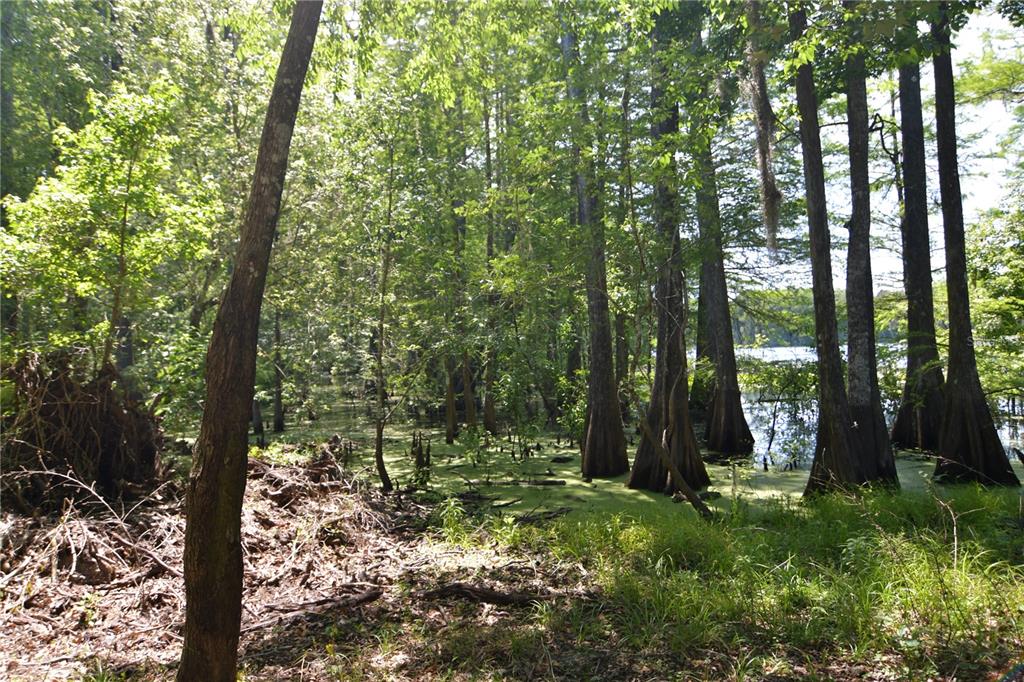 Bushnell, Florida 33513, 0 , 0 ,0,Land,For Sale,64TH,0,G5054183