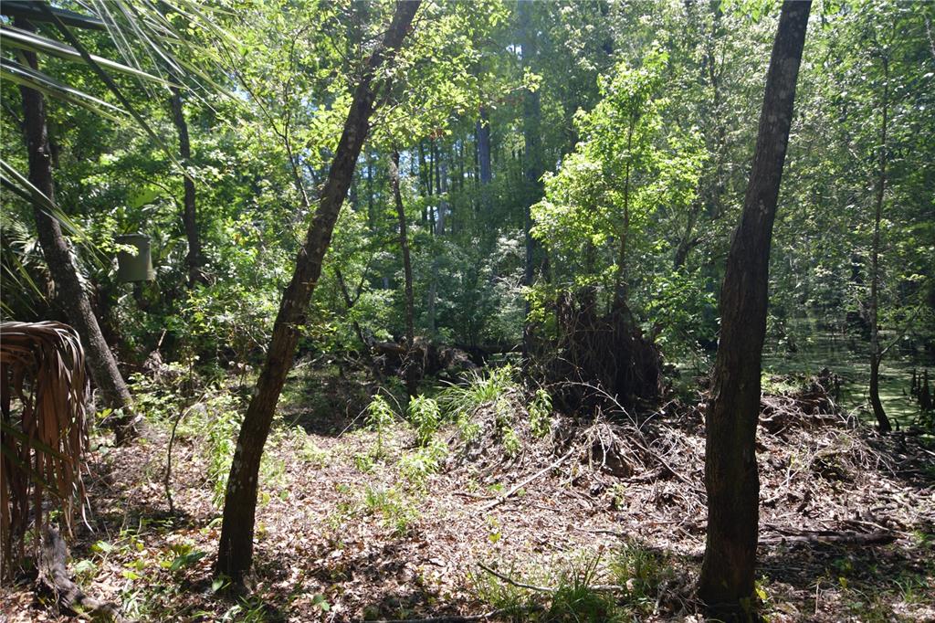 Bushnell, Florida 33513, 0 , 0 ,0,Land,For Sale,64TH,0,G5054183