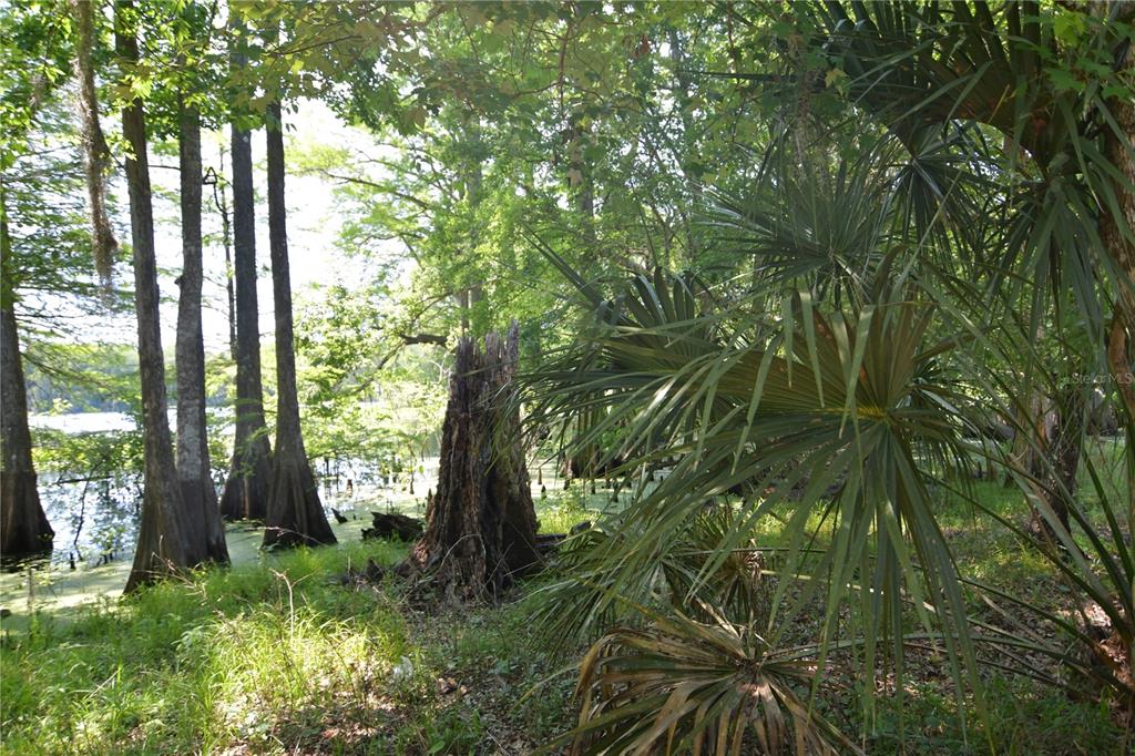 Bushnell, Florida 33513, 0 , 0 ,0,Land,For Sale,64TH,0,G5054183