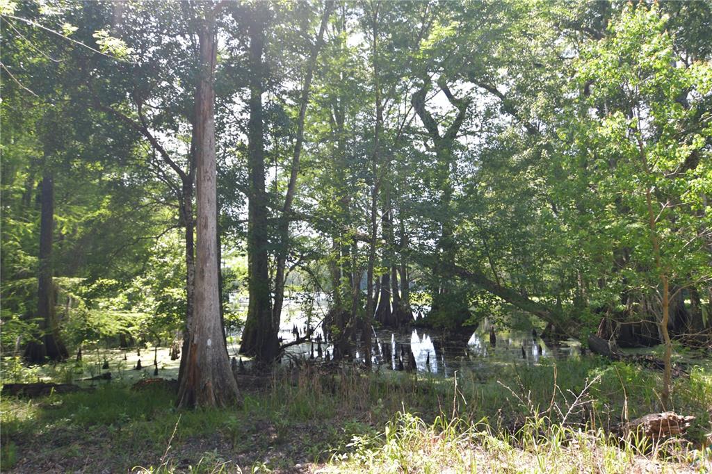 Bushnell, Florida 33513, 0 , 0 ,0,Land,For Sale,64TH,0,G5054183