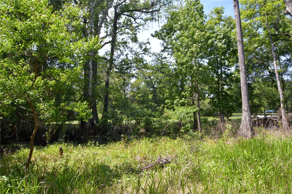 Bushnell, Florida 33513, 0 , 0 ,0,Land,For Sale,64TH,0,G5054183