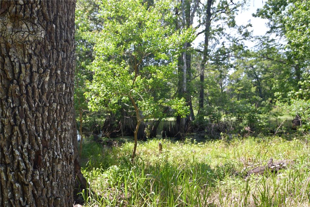 Bushnell, Florida 33513, 0 , 0 ,0,Land,For Sale,64TH,0,G5054183