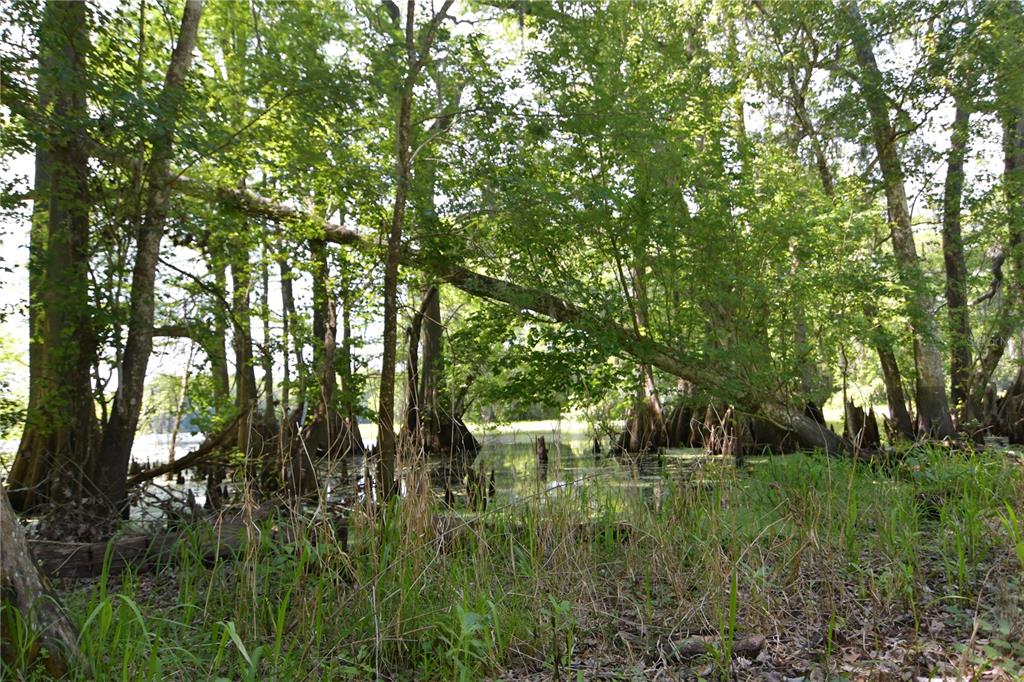 Bushnell, Florida 33513, 0 , 0 ,0,Land,For Sale,64TH,0,G5054183