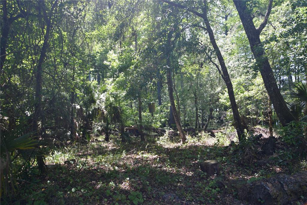 Bushnell, Florida 33513, 0 , 0 ,0,Land,For Sale,64TH,0,G5054183