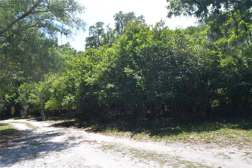 Bushnell, Florida 33513, 0 , 0 ,0,Land,For Sale,64TH,0,G5054183