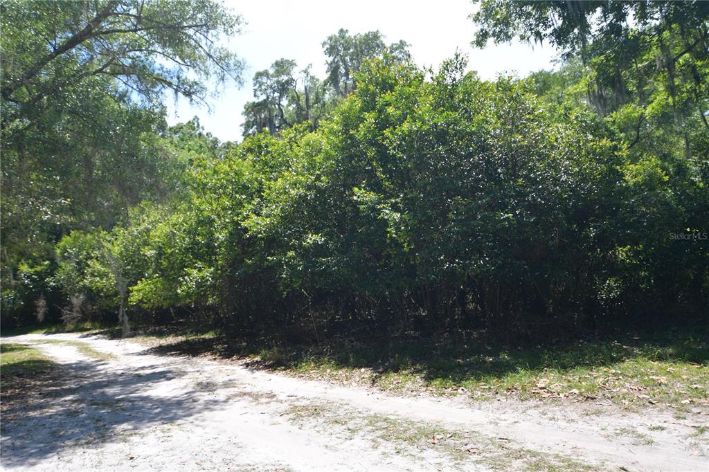 Bushnell, Florida 33513, 0 , 0 ,0,Land,For Sale,64TH,0,G5054183
