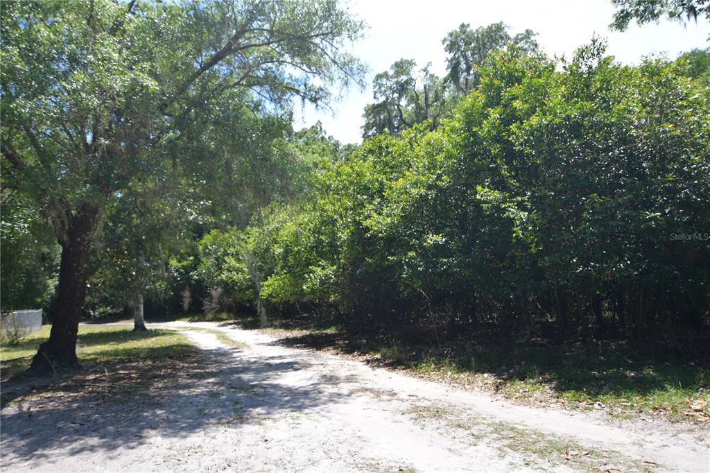 Bushnell, Florida 33513, 0 , 0 ,0,Land,For Sale,64TH,0,G5054183