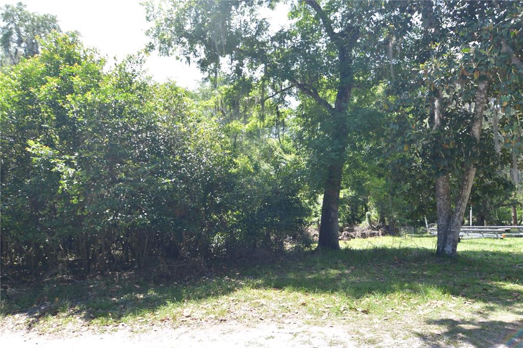 Bushnell, Florida 33513, 0 , 0 ,0,Land,For Sale,64TH,0,G5054183