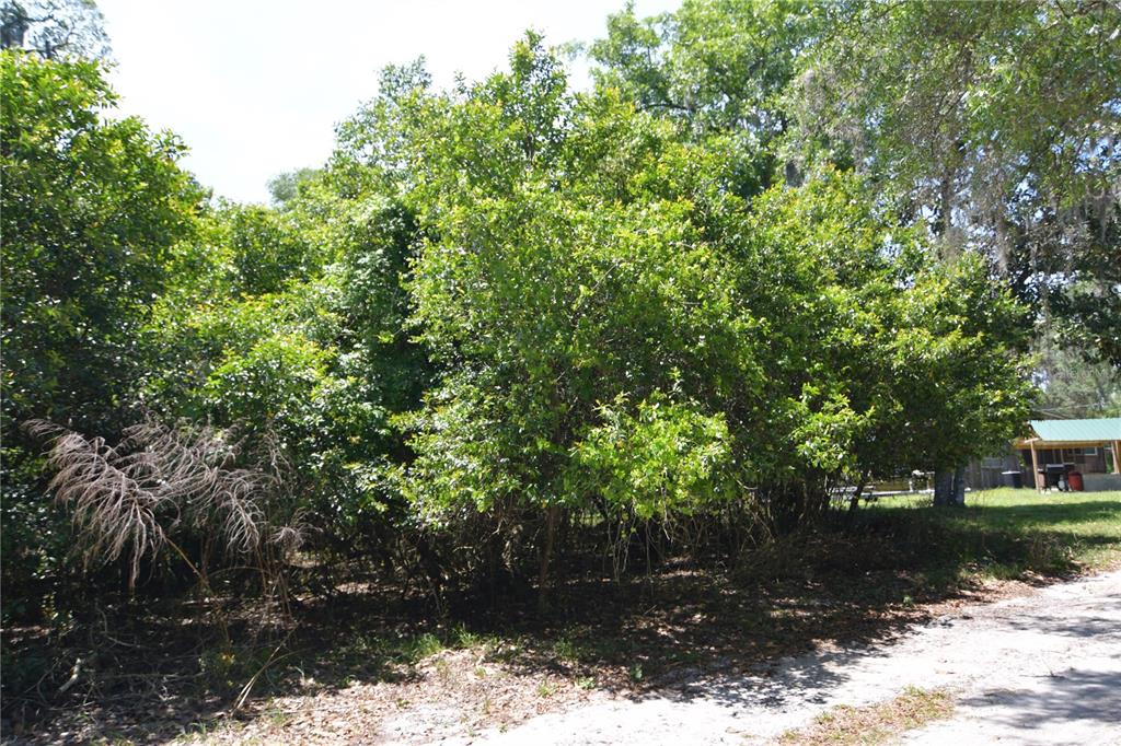 Bushnell, Florida 33513, 0 , 0 ,0,Land,For Sale,64TH,0,G5054183