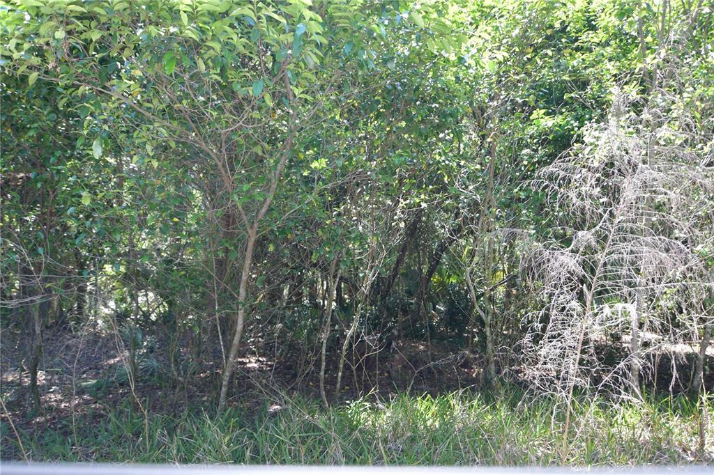 Bushnell, Florida 33513, 0 , 0 ,0,Land,For Sale,64TH,0,G5054183