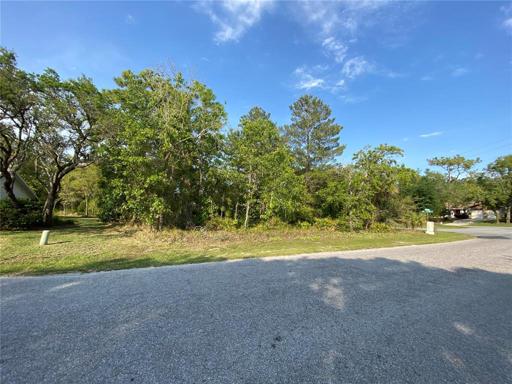 Lot on 2 Birchtree St