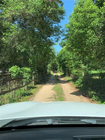 Easement